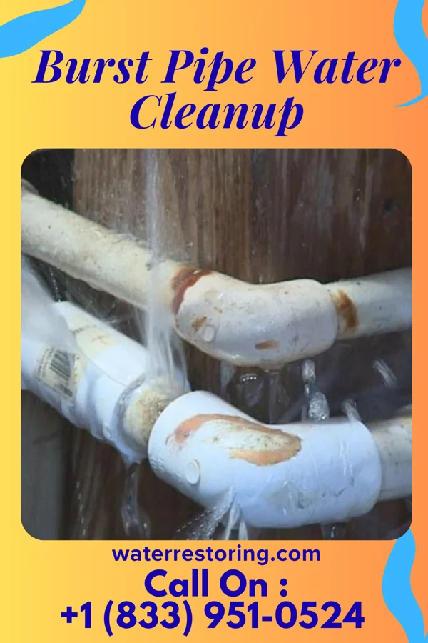 Burst Pipe Water Cleanup in Waipio, HI