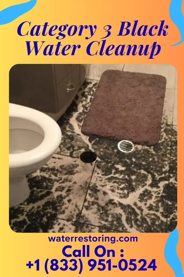 Category 3 Black Water Cleanup in Waipio, HI