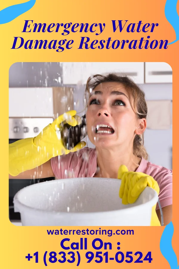 Emergency Water Damage Restoration in Waipio, HI
