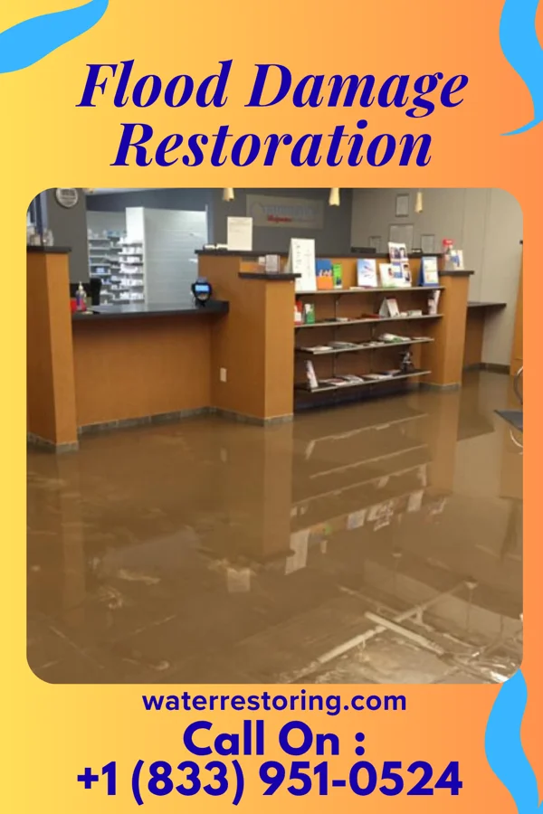 Flood Damage Restoration in Waipio, HI