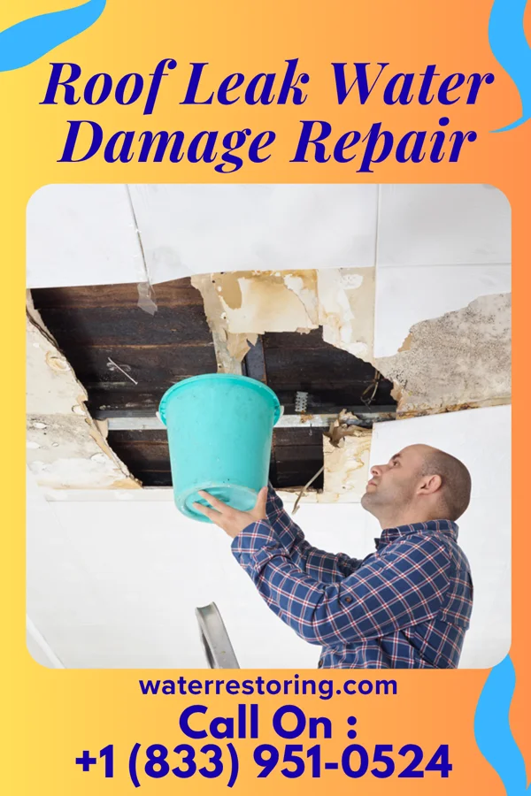 Roof Leak Water Damage Repair in Waipio, HI