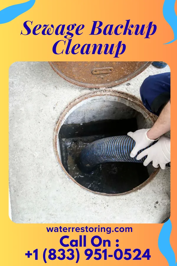 Sewage Backup Cleanup in Waipio, HI