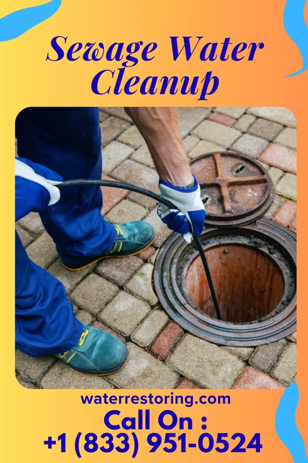 Sewage Water Cleanup in Waipio, HI