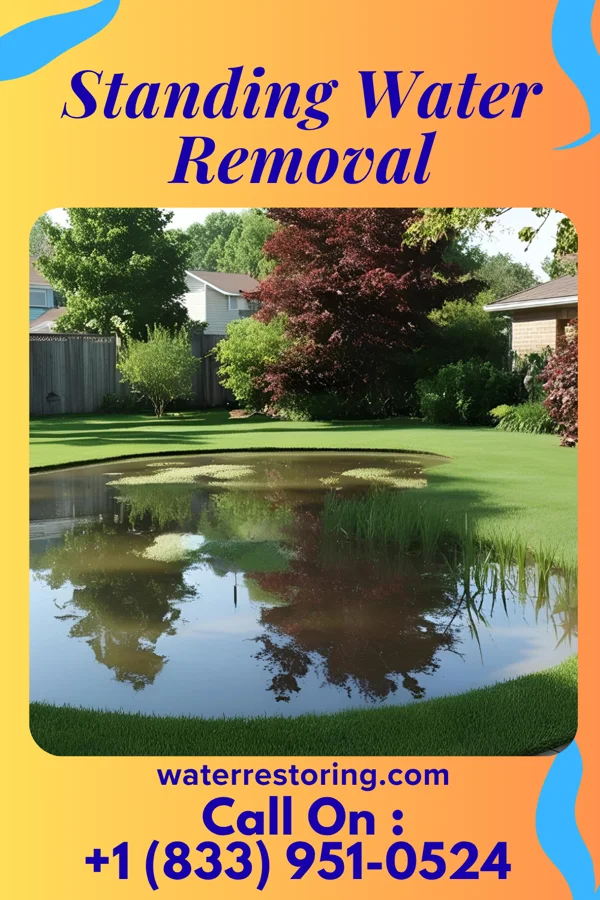 Standing Water Removal in Waipio, HI